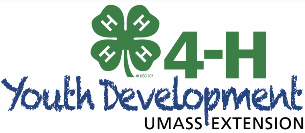 4H Youth Development