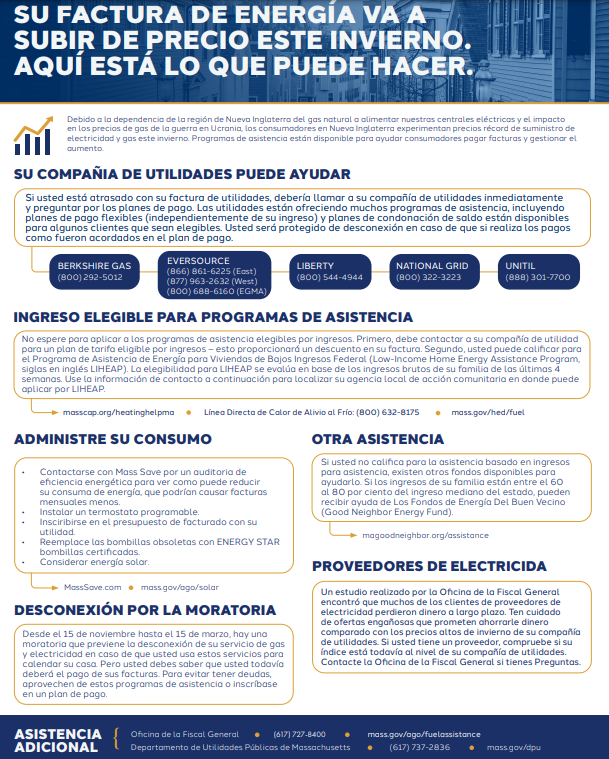 Energy Bills Flyer in Spanish