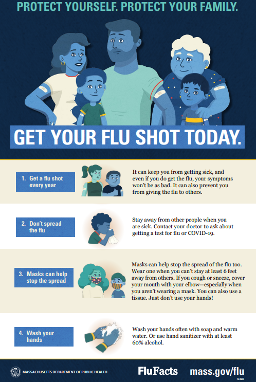 Flu Facts Poster