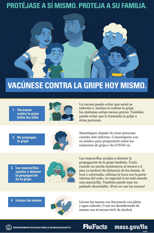Flu Facts Poster Spanish