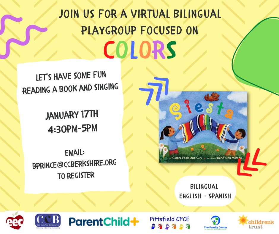 Virtual Bilingual Playgroup